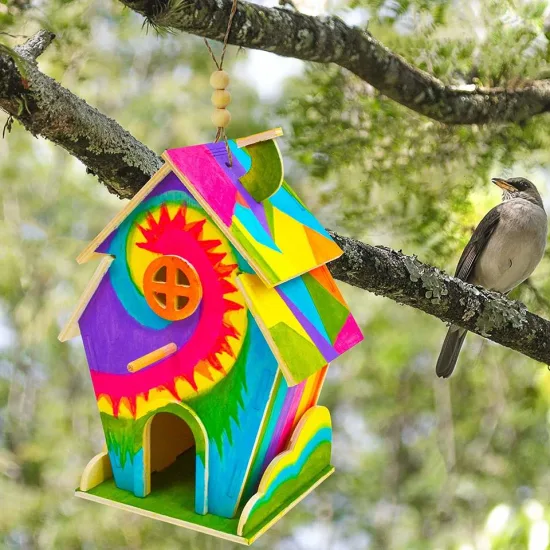 DIY-Vogelhäuschen-Set, DIY-Kunsthandwerk aus Holz, DIY-Vogelhaus-Set für Kinder